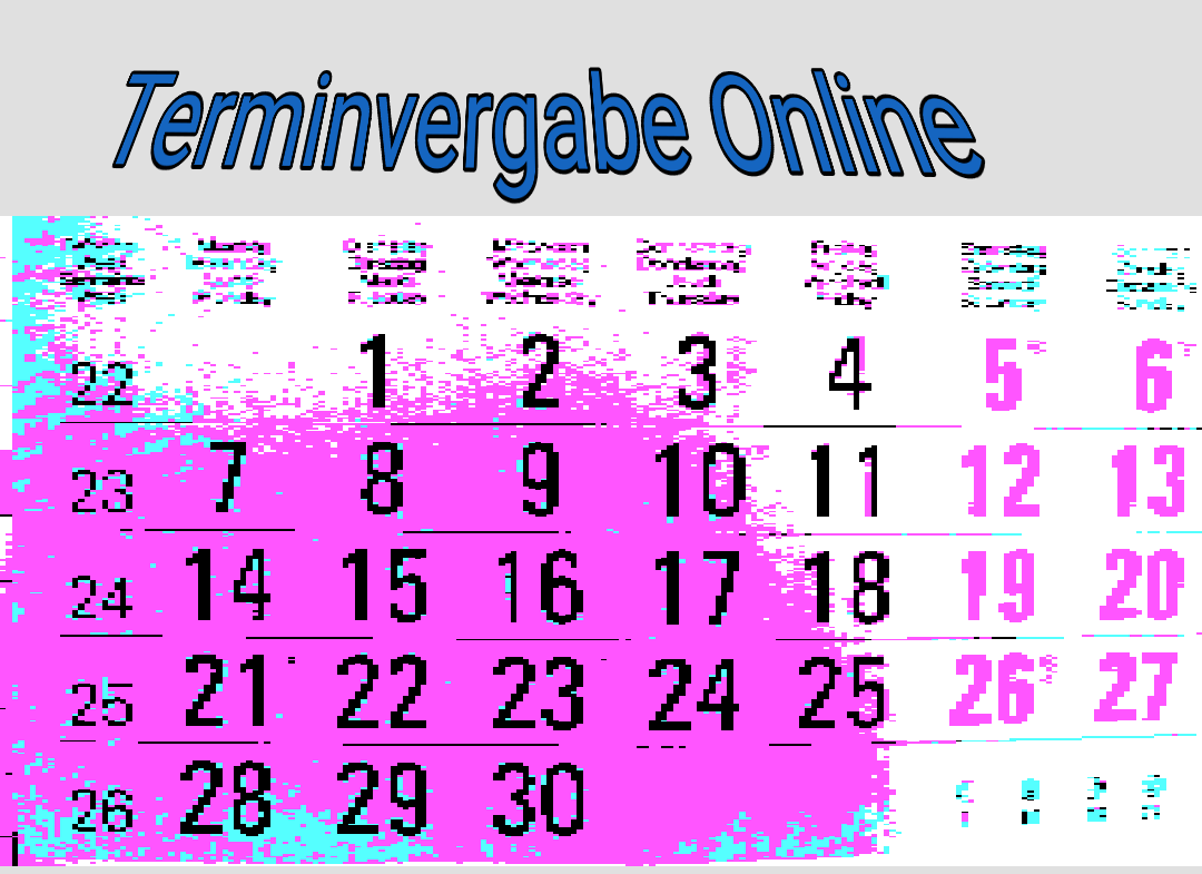 Terminverg online.png